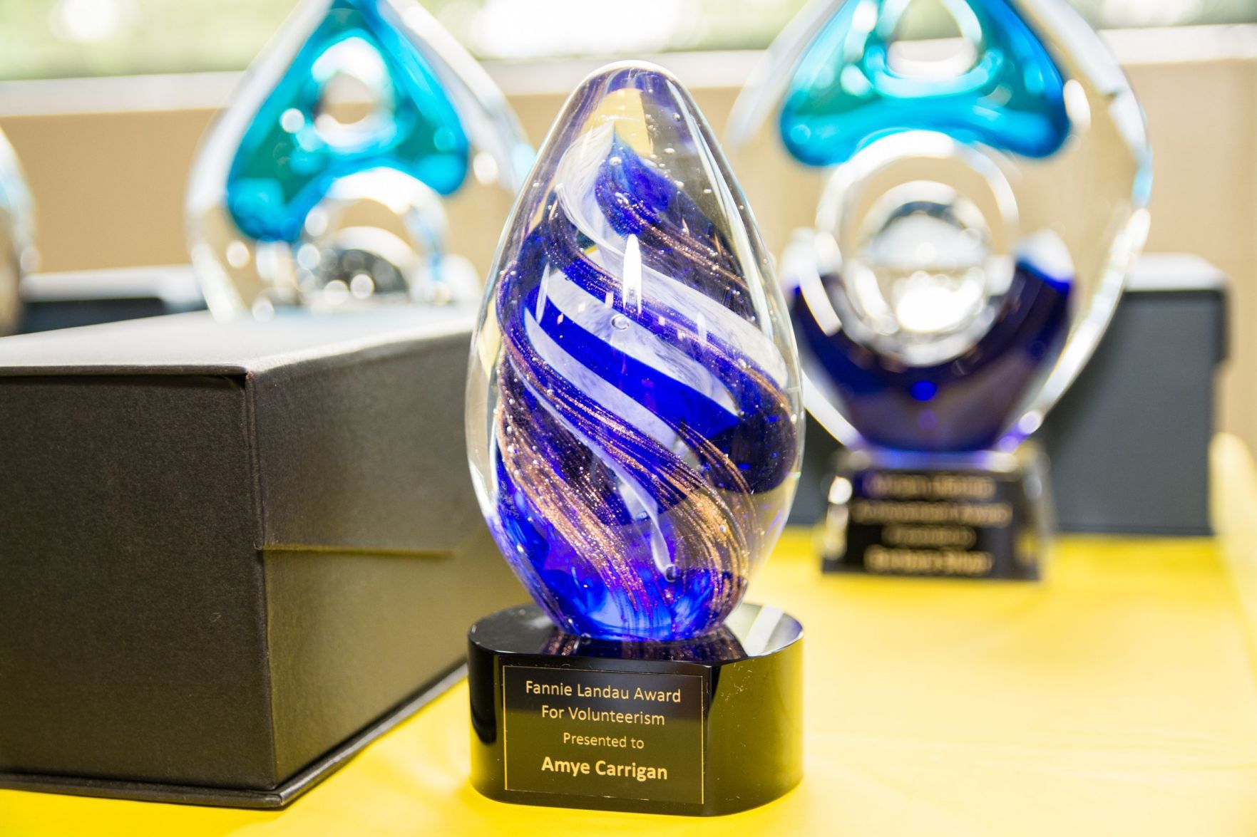 The Fannie Landau Award to be presented to Amye Carrigan at the Friends of Miriam Luncheon